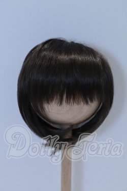 画像1: 9-10inch/ウィッグ S-26-06-21-049-SK-ZS