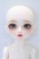 画像1: MYOUDOLL/1/6 Delia S-26-08-09-052-SK-ZS (1)