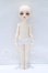 画像4: MYOUDOLL/1/6 Delia S-26-08-09-052-SK-ZS (4)