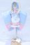 画像1: MDD/OF:衣装セット S-26-05-03-093-SK-ZS (1)