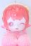 画像2: PENNY'S BOX/ANTU(アンティーユ):イチゴ猫　可愛いプチ ブラインドぬいぐるみ シリーズ S-26-05-03-012-SK-ZS (2)