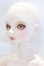 画像2: VISUADOLL/葵木 空 Basic S-26-08-02-052-YB-ZS (2)