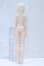 画像6: VISUADOLL/葵木 空 Basic S-26-08-02-052-YB-ZS (6)