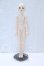 画像7: VISUADOLL/葵木 空 Basic S-26-08-02-052-YB-ZS (7)