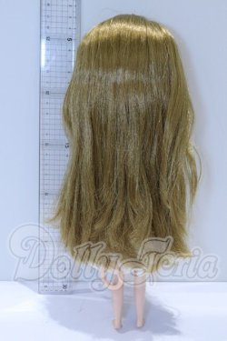 画像6: ネオブライス/テーラーギブソン S-26-03-22-054-YB-ZS