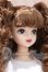 画像3: ジェニー/サヤカ 2021年神戸三宮BASICモデルサヤカV-561 S-26-05-03-004-SK-ZS (3)
