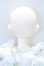 画像8: Doll Leaves/Leilia.Deer S-26-07-05-051-SK-ZS (8)
