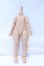 画像1: IMOMODOLL/1/6 Body 冬瓜体 S-26-10-11-054-SK-ZS (1)