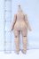 画像2: IMOMODOLL/1/6 Body 冬瓜体 S-26-10-11-054-SK-ZS (2)