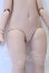 画像3: IMOMODOLL/1/6 Body 冬瓜体 S-26-10-11-054-SK-ZS (3)