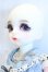 画像3: Gem of Doll/Debby S-26-09-06-002-SK-ZS (3)