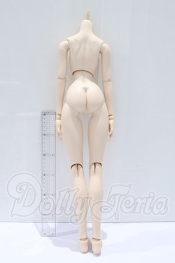 画像2: DD/ベースボディIII S-26-04-26-067-SK-ZS