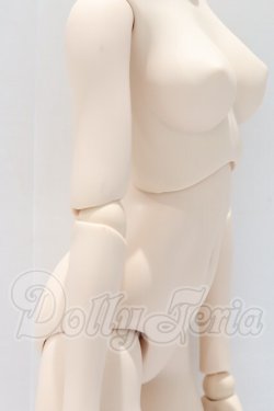 画像3: DD/ベースボディIII S-26-04-26-067-SK-ZS