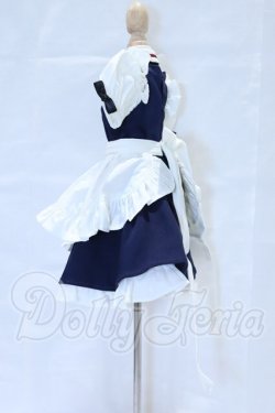 画像2: SDM＆MSD/OF:衣装セット S-26-06-07-044-SK-ZS