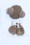 画像1: COCORIANG/OF:衣装 S-26-09-06-014-SK-ZS (1)