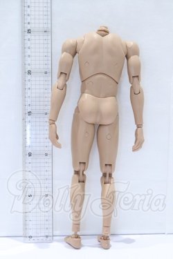 画像2: MX/1/6 男性素体 2014 2.0 関節強化Ver. S-26-05-03-013-SK-ZS