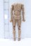 画像2: COOMODEL/1/6 ノーマル 男性素体 S-26-05-03-014-SK-ZS (2)