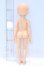 画像3: TinyFox/1/6 C-04ヘッド＋旧ボディ S-26-05-17-054-SK-ZS (3)