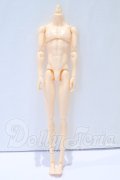 六分の一男子図鑑/ナインボディ S-26-10-18-022-SK-ZS