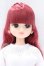 画像1: リカちゃん/2021年度版神戸三宮アイコンモデル モデルNo.12234 S-26-09-06-009-SK-ZS (1)