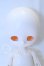 画像1: ADVillage/Little Fox S-26-06-21-003-SK-ZS (1)