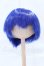 画像1: 8-9inch/ウィッグ S-26-09-20-048-SK-ZS (1)