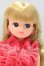 画像1: リカちゃん/ドレスコレクション S-26-10-04-058-SK-ZS (1)