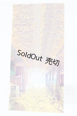 画像3: ドール撮影用背景布4セット S-26-07-05-070-SK-ZS
