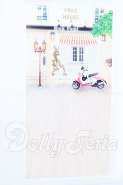 画像2: ドール撮影用背景布4セット S-26-07-05-071-SK-ZS