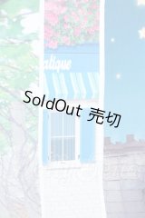 背景布 S-26-07-05-072-SK-ZS
