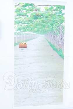 画像2: 背景布 S-26-07-05-072-SK-ZS