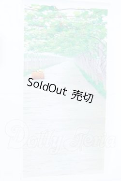 画像2: 背景布 S-26-07-05-072-SK-ZS