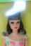 画像1: バービー/フランシー francie 30th anniversary Barbie doll’s MODern cousin S-26-09-27-001-SK-ZS (1)