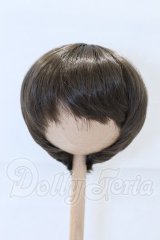 8-9inch/ウィッグ S-26-10-11-099-SK-ZS