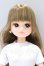 画像1: リカちゃん/2025年9月リカちゃん＆フレンズクラブ25 モデルNo.13578 S-26-10-25-010-SK-ZS (1)