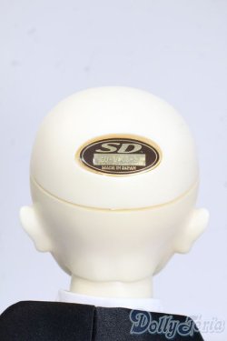 画像7: SD/DWC#02ヘッド+SDGrBボディ Y-25-08-20-092-YD-ZY