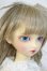 画像2: SDGIRL/キラ Y-25-08-13-261-YD-ZY (2)