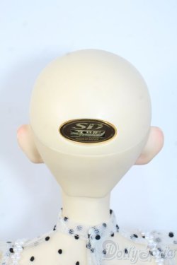 画像7: SD/くんヘッド+SD16Girlボディ Y-25-08-20-089-YD-ZY