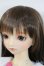画像3: SD女の子/ここ(スタンダードモデル) Y-25-08-13-260-YD-ZY