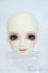 画像1: SD/フルチョイス：F-64ヘッドのみ Y-25-08-13-264-YD-ZY (1)