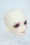 画像2: SD/フルチョイス：F-64ヘッドのみ Y-25-08-13-264-YD-ZY (2)