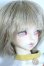 画像2: SOOM/Cheshire-Maestro of Fairy Tales Y-25-08-20-099-YD-ZY (2)