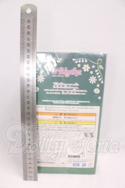 画像3: ミディブライス/ランピオンオブザバレー I-26-05-14-154-KD-ZI