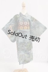 MSD&SDM/OF：着物 I-26-06-04-050-KD-ZI