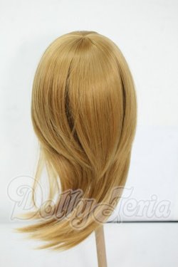 画像2: 9-10inch/ウィッグ Y-26-05-15-291-WT-ZY