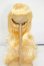 画像1: 9-10inch/ウィッグ Y-26-05-15-270-WT-ZY (1)