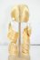 画像2: 9-10inch/ウィッグ Y-26-05-15-268-WT-ZY (2)