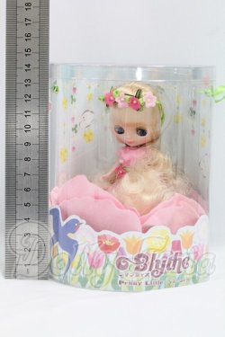 画像2: プチブライス/ペニーリトル I-26-10-22-108-KD-ZI