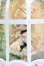 画像5: プチブライス/バードソングデュエット I-26-10-22-117-KD-ZI (5)