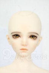 RINGDOLL/Messenger Y-26-04-29-204-WT-ZY